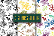 Hand drawn christmas needles., a Seasonal Illustration by Alena Kaz (Thumbnail 3 of 3)