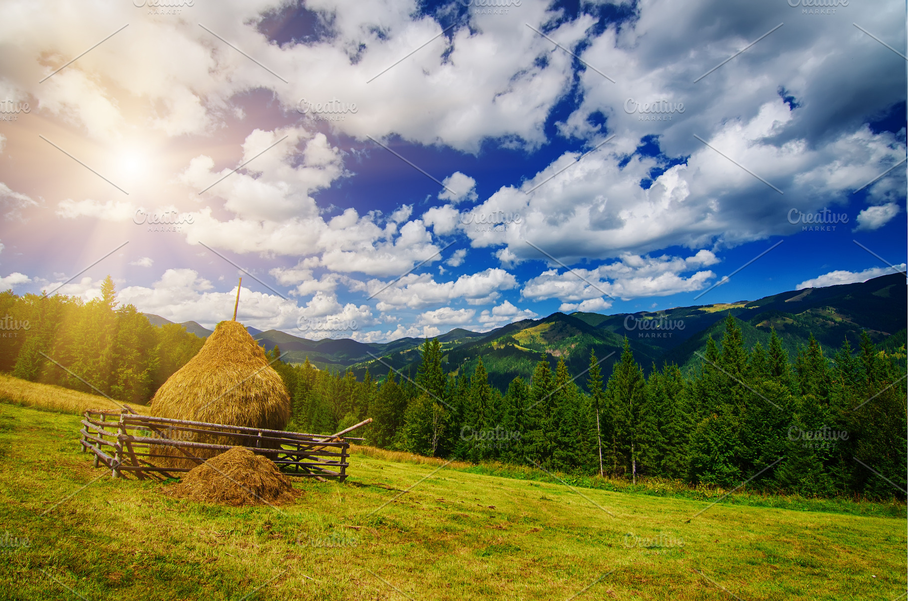 Summer mountain landscape, a Nature Photo by Nature and travel