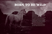 Chucara next, a Serif Font by Letritas (Thumbnail 14 of 14)