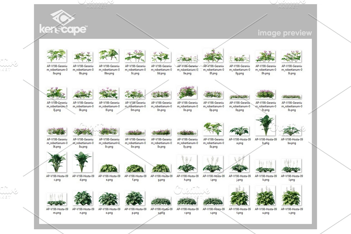 94 Assorted Plants Photo Overlays, a Nature Photo by KenScape (Photo 3 of 4)