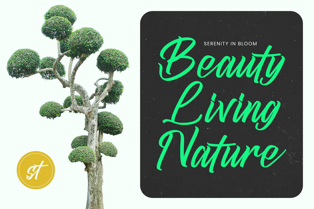 Juntink Sunday Bold Calligraphy Font, a Script Font by stylishtype.co (Photo 8 of 20)