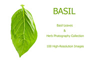 Basil leaves and herb, 100 images, a Food & Drink Photo by Pullia (Thumbnail 1 of 7)