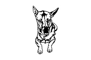Carolina Dog Breed - Pet Vector Cut, an Animal Illustration by Digital-Clipart