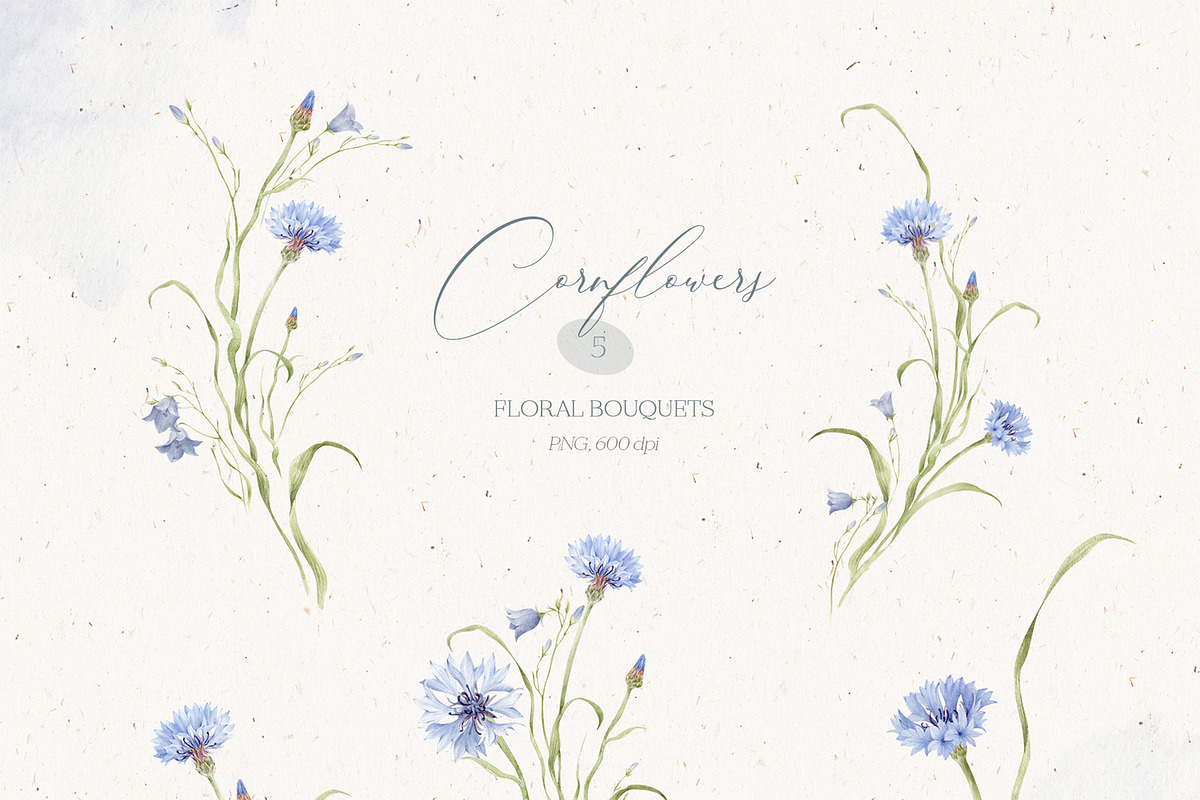 Watercolor Cornflowers, an Illustration by Nastya.Chay (Photo 3 of 10)