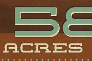 CONCORDIA TYPEFACE, a Slab Serif Font by adamelwell (Thumbnail 2 of 5)