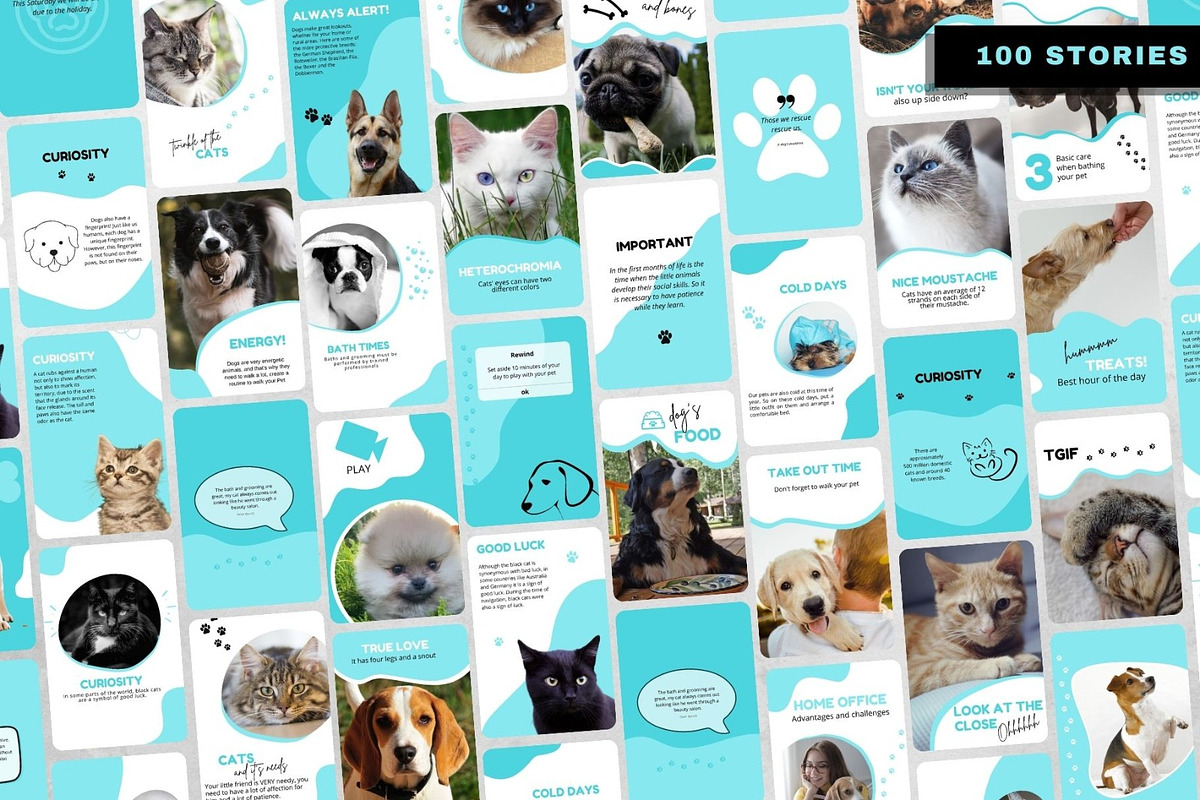 Pet Shop Pets Care Social Media Kit Creative Market