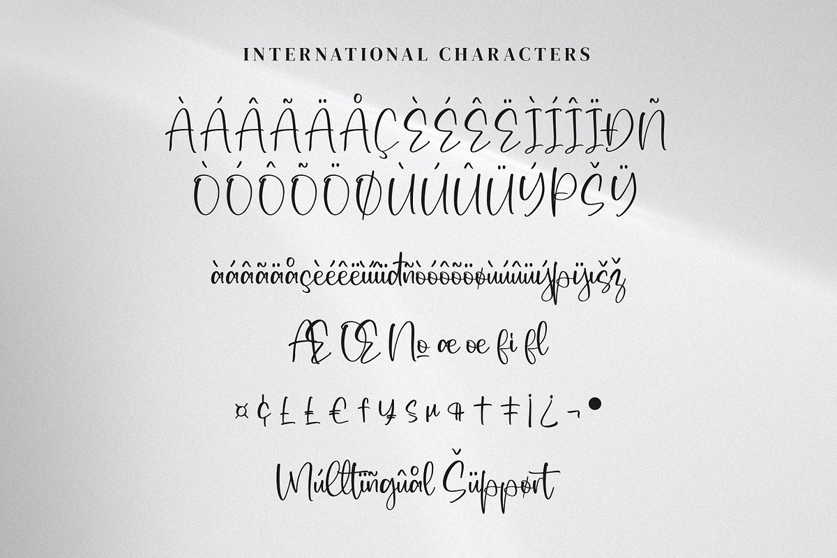 Woman Friend, a Script Font by Integritype Studio (Photo 9 of 14)