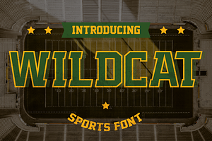 Wildcat - Varsity Sport Typeface, a Serif Font by HipFonts
