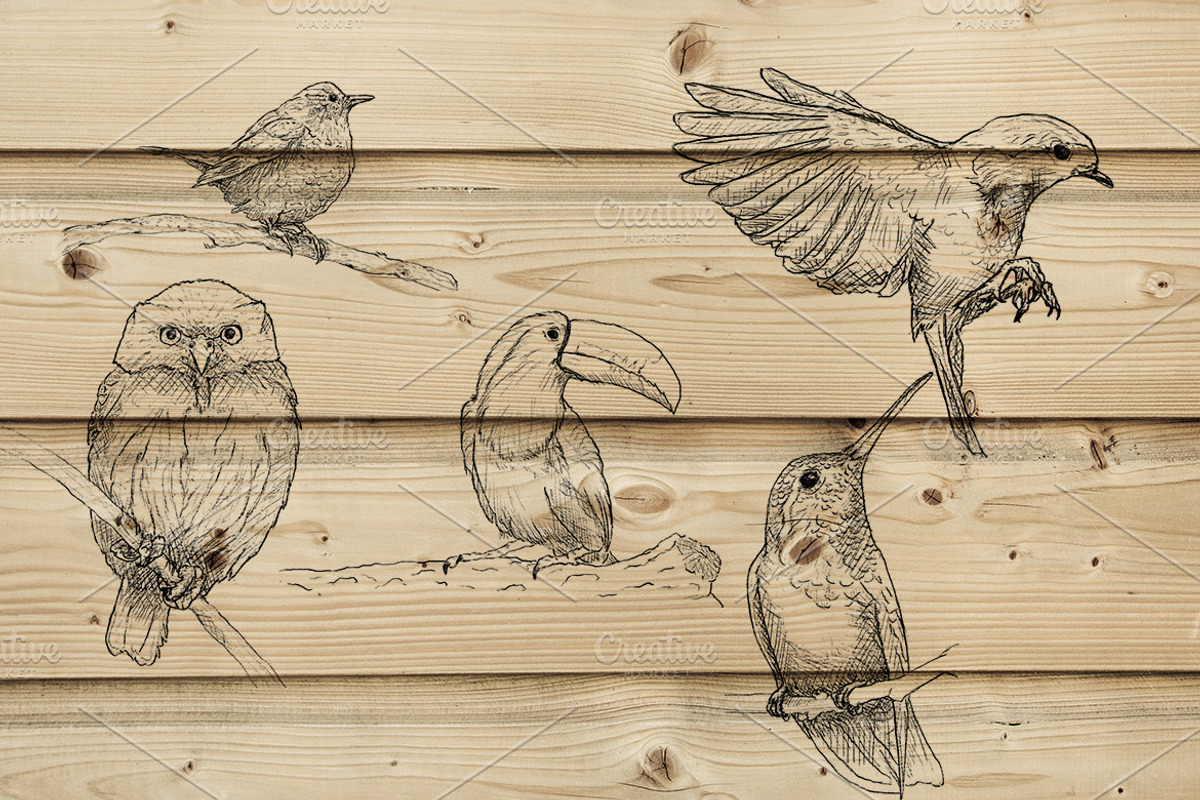 5 Ink Watercolor Birds, an Animal Illustration by Natsuhisui (Photo 6 of 8)