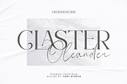 Claster Oleander, a Font by ToniStudio (Thumbnail 1 of 11)