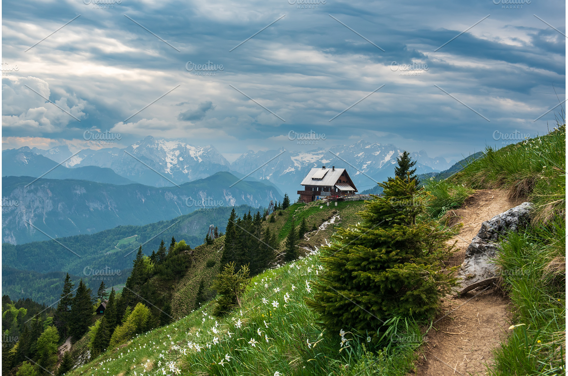 Mountain landscape with daffodil, a Nature Photo by Nature and travel