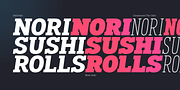 Palo Slab, a Slab Serif Font by TypeUnion (Thumbnail 10 of 13)