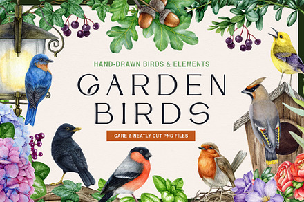 Garden Birds Watercolor Painted Set, an Animal Illustration by AnitaPol