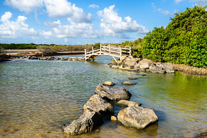 Wooden bridge at Pont de Anse a Prunes in Martinique, a Nature Photo by Leonid Andronov