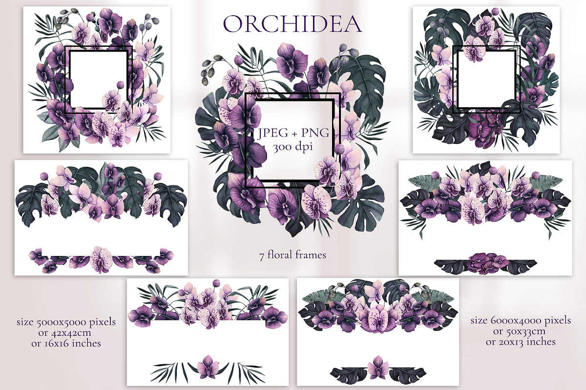 Orchidea, an Illustration by Salted Galaxy (Photo 3 of 11)
