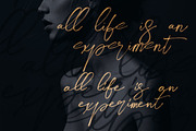 Midnight Brush & SVG Font, a Script Font by Cruzine (Thumbnail 11 of 19)