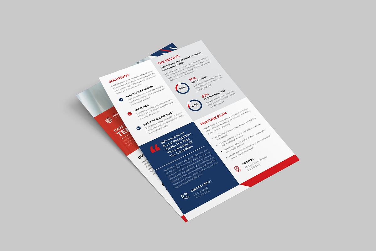 Case Study Flyer Template preview 7