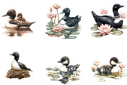 Watercolor loons Clipart, a Seasonal Illustration by Designking (Thumbnail 3 of 5)