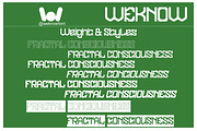 FRACTAL CONSCIOUSNESS font, a Slab Serif Font by weknow (Thumbnail 7 of 8)