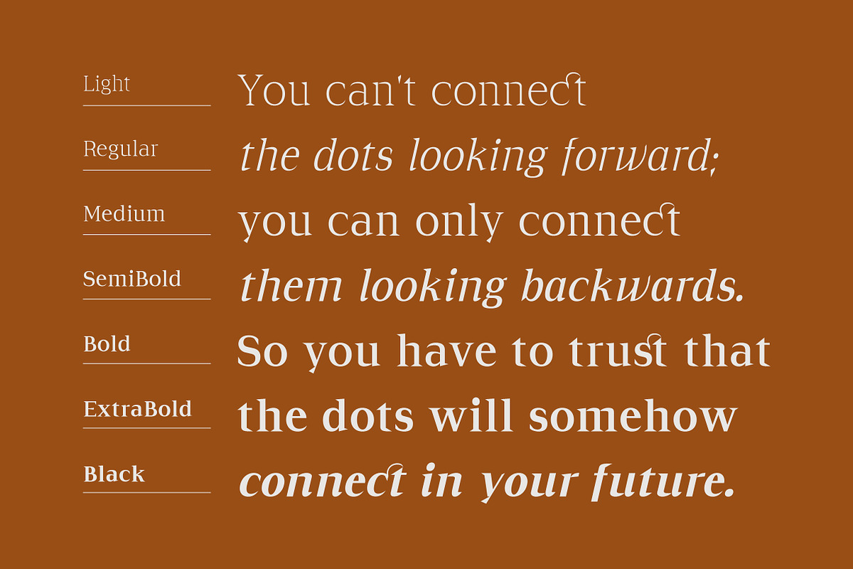 Cirvia Timeless & Fresh Serif Family, a Serif Font by Lettertype Studio (Photo 8 of 15)