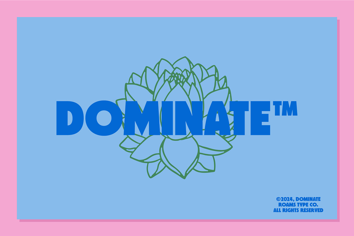 Drynida - 90’s Pop Headline font, a Font by Roams Type (Photo 2 of 10)