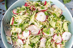 Spring cabbage salad, with cucumber and radish, a Food & Drink Photo by Rimma