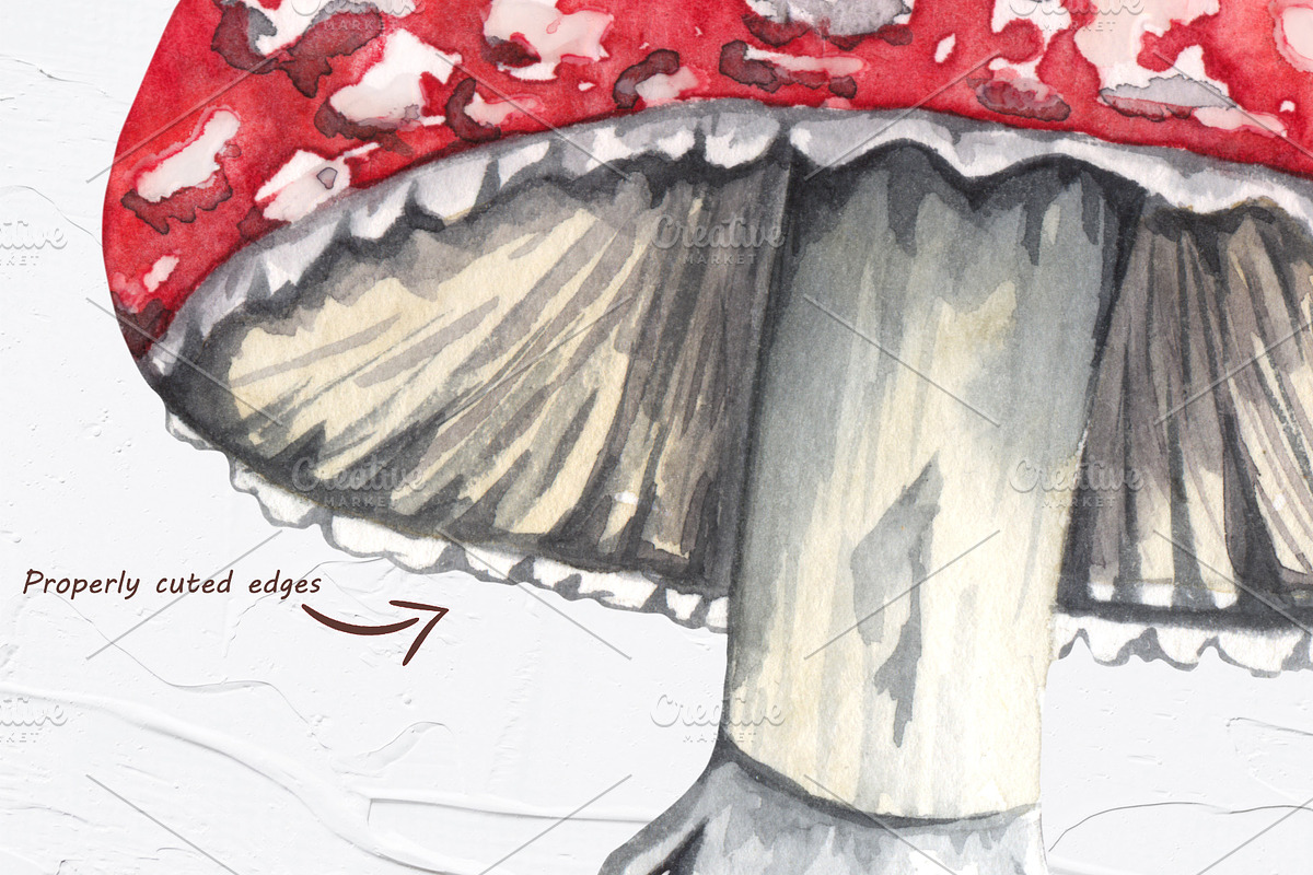 Watercolor Botanical Forest Set, an Animal Illustration by BarvArt (Photo 19 of 20)
