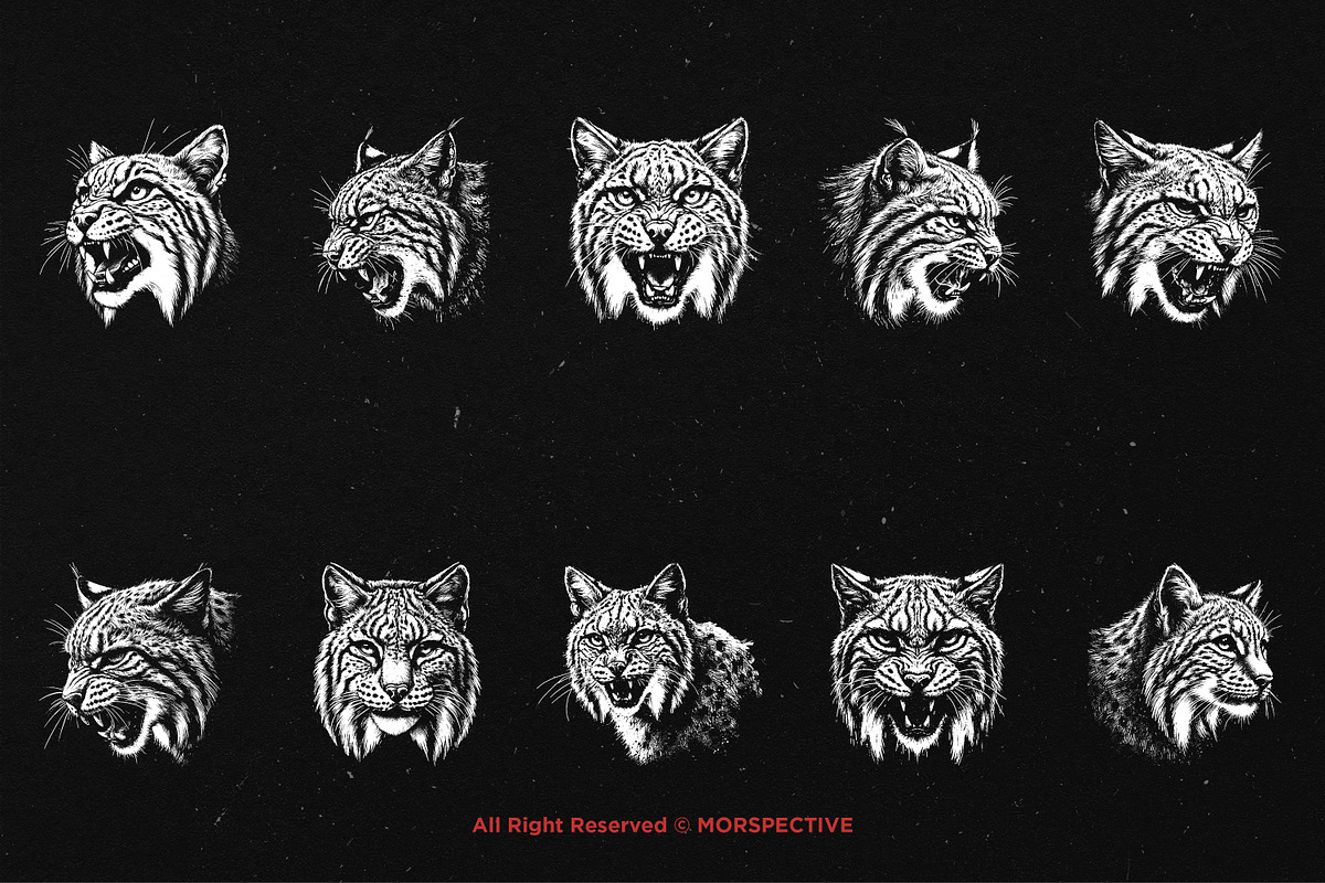 10 Bundle Dark Art Bobcat Lynx Tiger, an Illustration by Morspective (Photo 6 of 7)