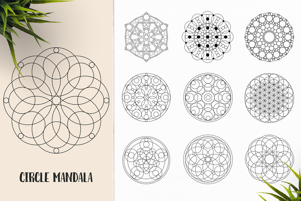 530 Vector Mandala Ornaments, an Animal Illustration by pixaroma (Photo 36 of 55)