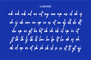 AUTHENTIC RADIO | Signature Logo, a Handwritten Font by Havinkpen (Thumbnail 15 of 15)