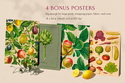 80 Fruits & Vegetables, an Object Graphic by The Object Atlas (Thumbnail 7 of 10)