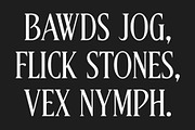 CS Bruna – Contemporary Font, a Serif Font by Craft Supply Co. (Thumbnail 5 of 8)