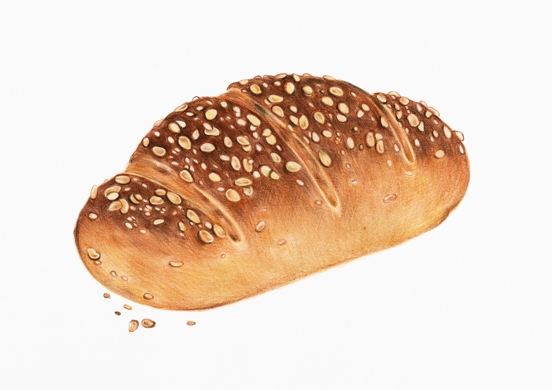 Illustration of multigrain bread, a Background Photo by rawpixel