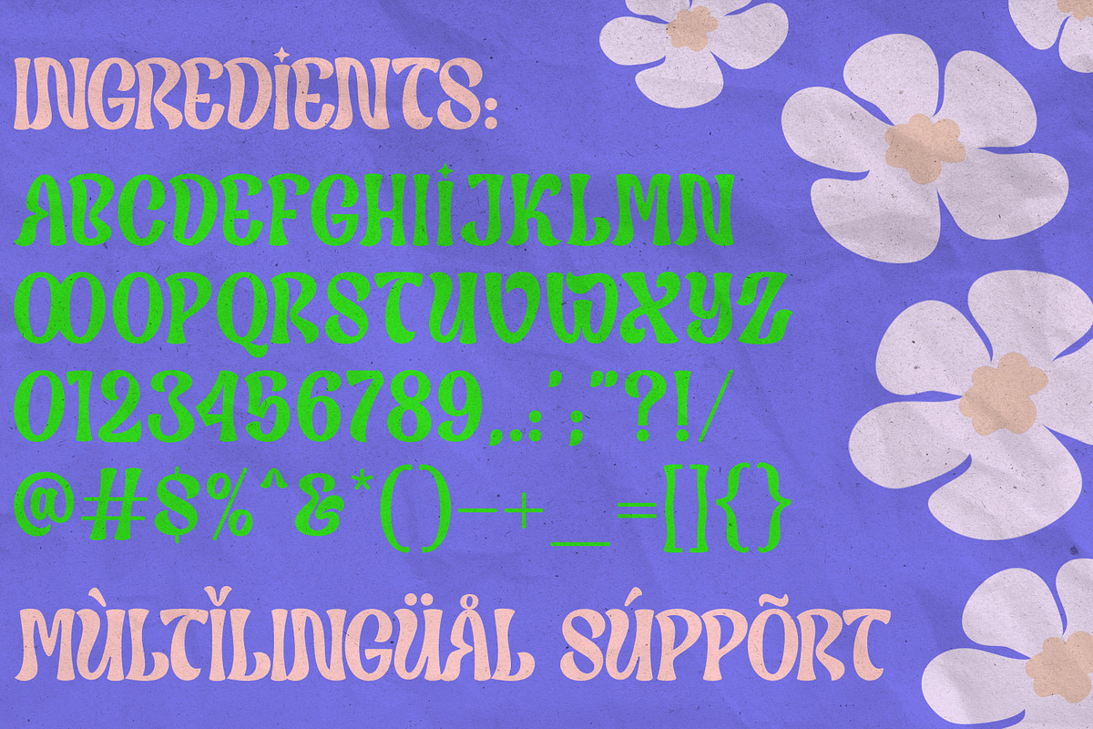 Orelia Display, a Sans Serif Font by Orenari (Photo 2 of 11)