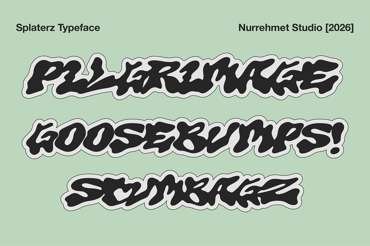 Splaterz NS - Organic Graffiti Font, a Handwritten Font by Nurrehmet Studio (Photo 6 of 8)