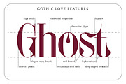 Gothic Love - Condensed Serif Font, a Serif Font by Struvictory.art (Thumbnail 7 of 11)