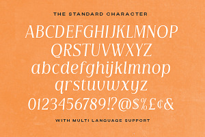 Mindstay - Elegant Vintage Serif