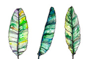 Watercolor palm leaves clipart, an Illustration by Watercolor_Vector Graphic (Thumbnail 4 of 15)