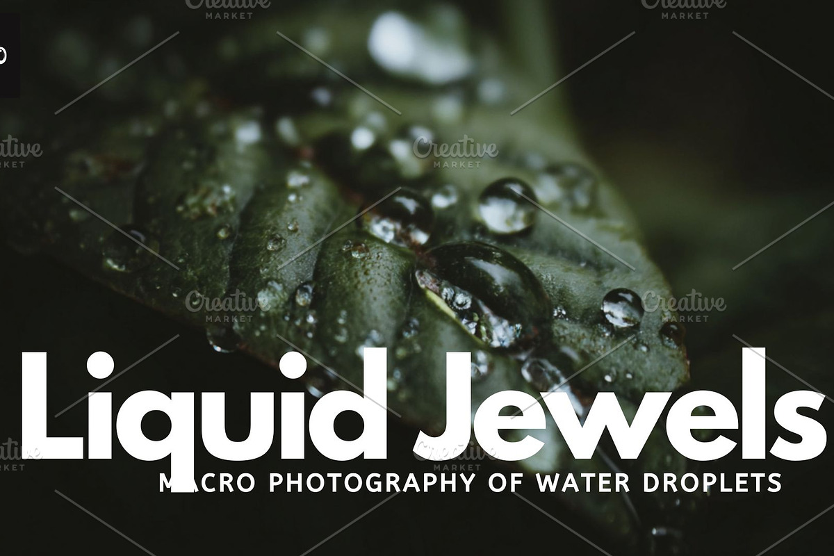 Liquid Jewels – Macro Photography, a Nature Photo by Virgo Studio (Photo 1 of 6)