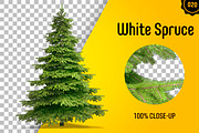 CUT OUT TREES - 60 PCS BUNDLE, a Packaging Mockup by 3DSTORE (Thumbnail 21 of 63)