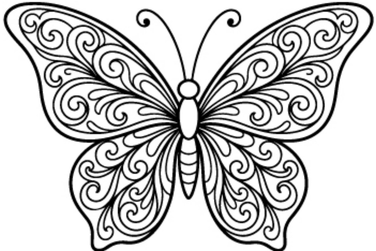 Butterfly SVG Bundle, an Object Graphic by Gfx_Store (Photo 22 of 32)