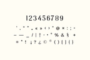 Grand Atlas Elegant Serif Font, a Serif Font by UICreative (Thumbnail 4 of 13)