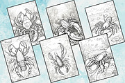 Printable Lobster Coloring Pages, an Illustration by Catchy Ideaz (Thumbnail 2 of 3)