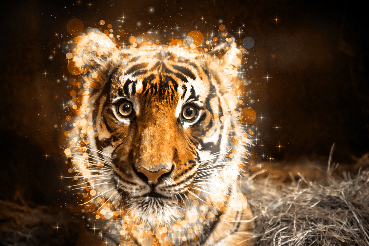 Shimmer Photoshop Action, an Action Add-On by MRI STUDIO (Photo 4 of 9)