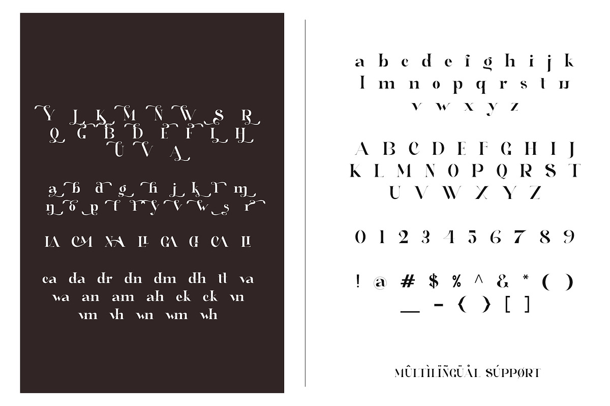 Fankown Unique Ligature Serif, a Serif Font by Humaira_std (Photo 9 of 9)