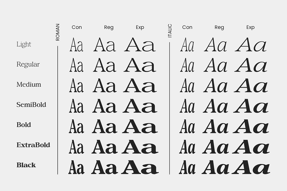 Confirm Serif (42 fonts), a Font by Dora Typefoundry (Photo 8 of 12)