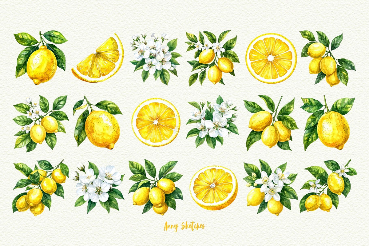 Mediterranean Lemon Clipart, an Object Graphic by Anna Design Studio (Photo 3 of 9)