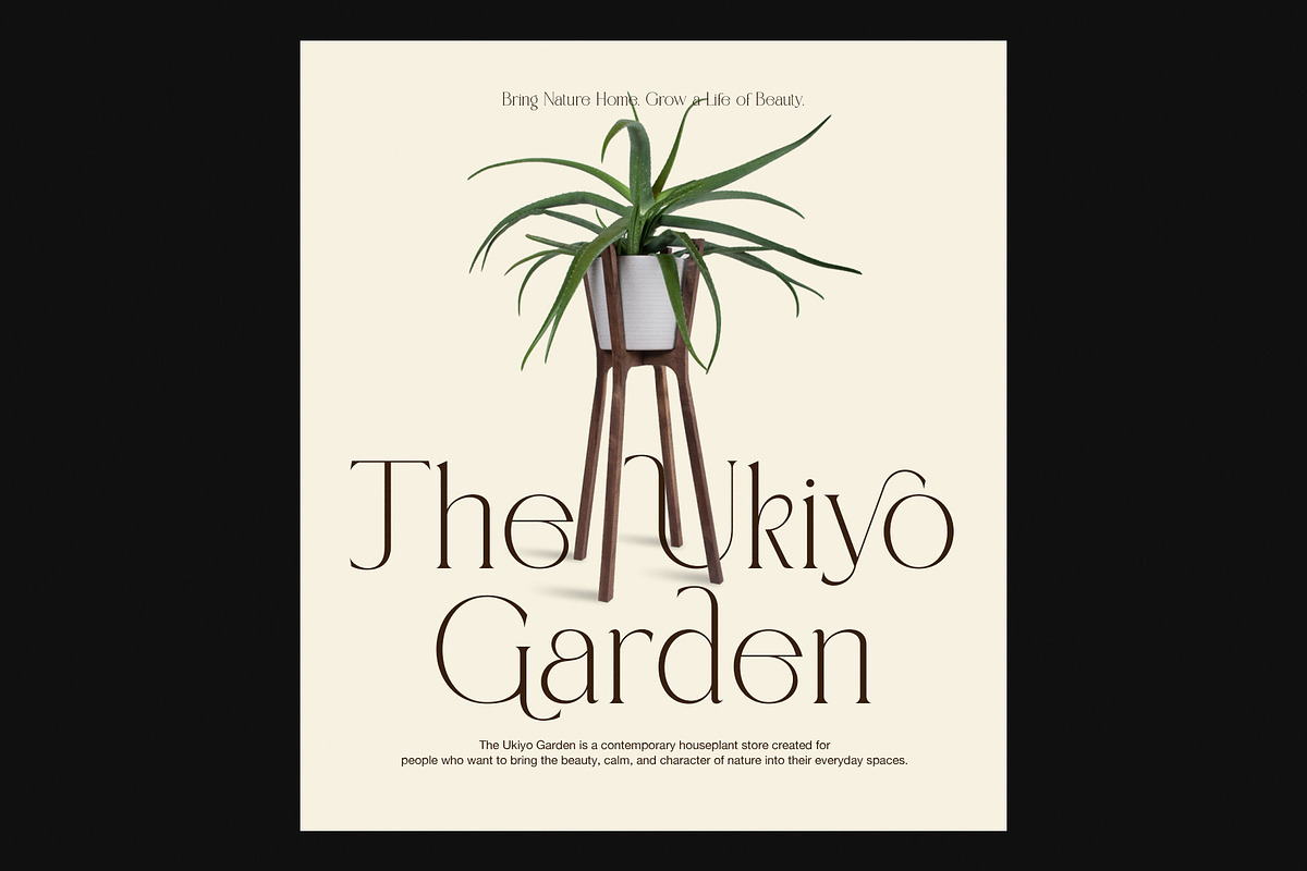 Nemika Elegant Serif Font, a Serif Font by Graphicxell (Photo 2 of 8)