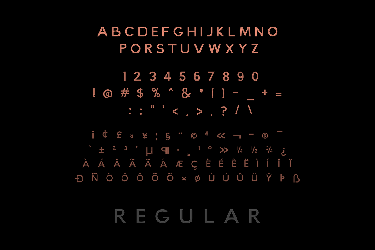 Fosmer - Modern Vintage Sans Serif, a Sans Serif Font by Zakazis (Photo 12 of 12)
