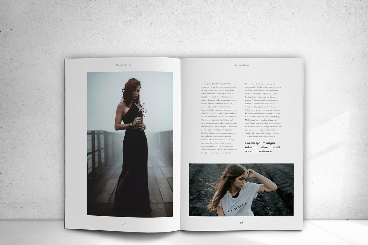 Entity Magazine, a Magazine Template by design_pick (Photo 13 of 22)